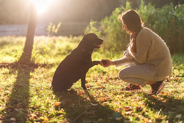 30+ tips om beter te communiceren met je hond