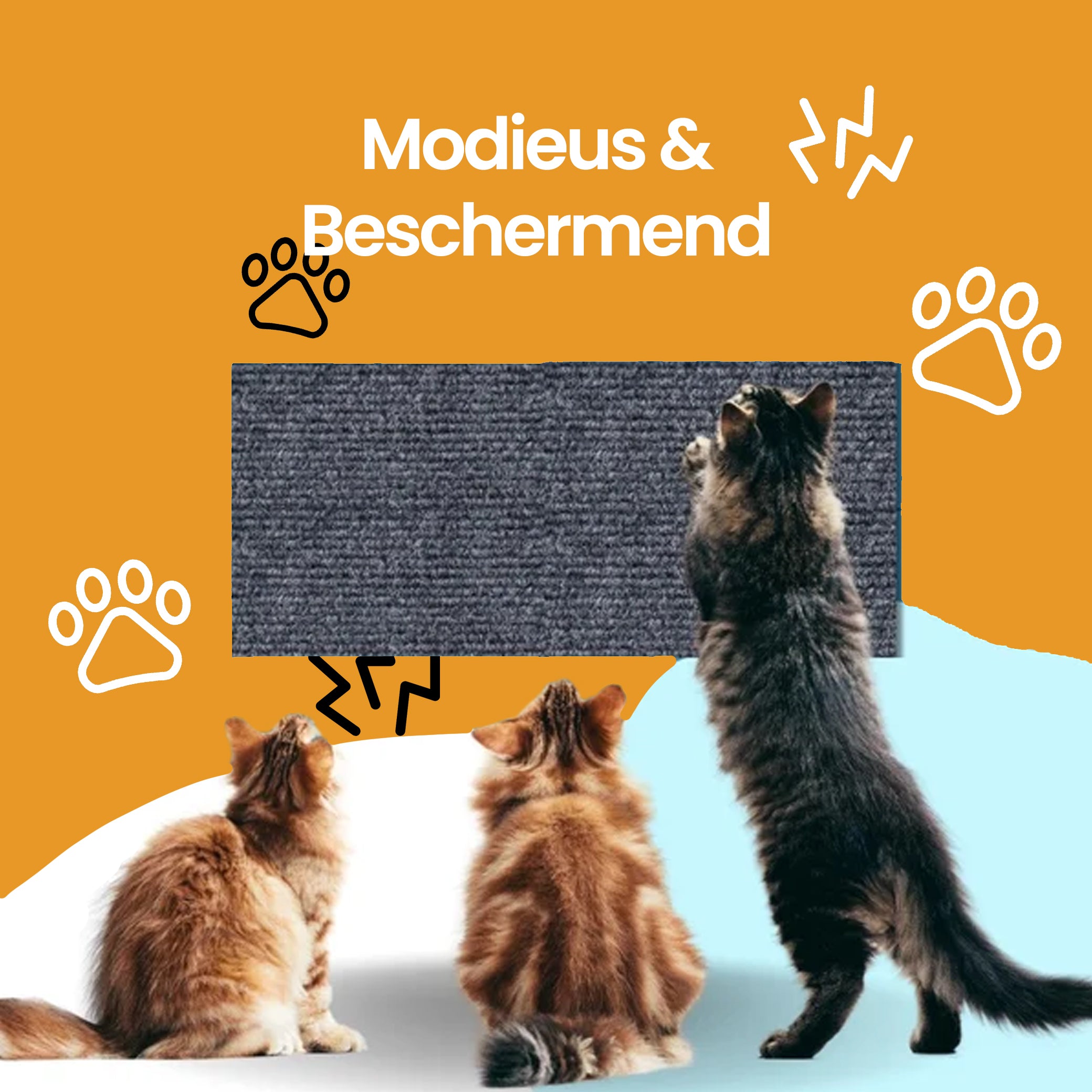 PetsPals CoverProtect™ - Bank Bescherming voor Katten