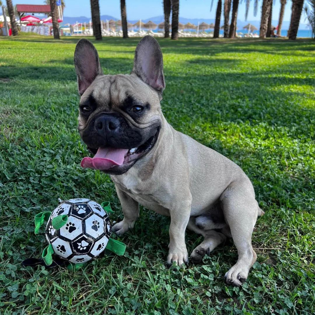 PetsPals TuggBall™ - Onverwoestbare Voetbal voor Honden