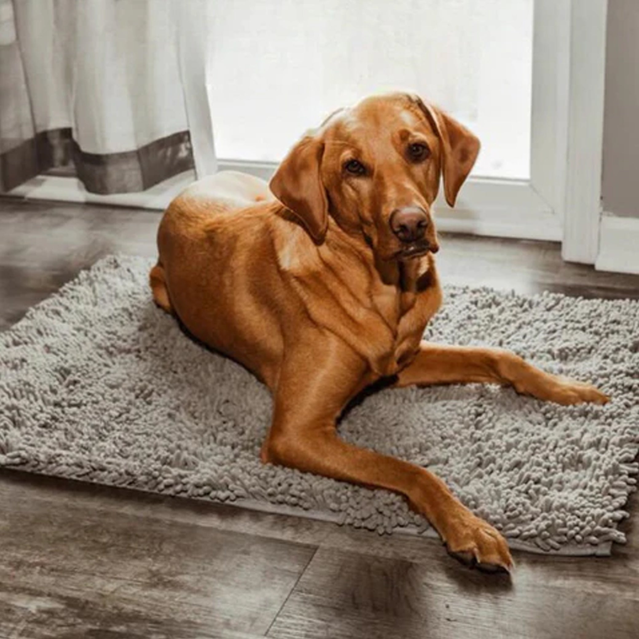 PetsPals CleanStep™ - Ultra Absorberende Deurmat